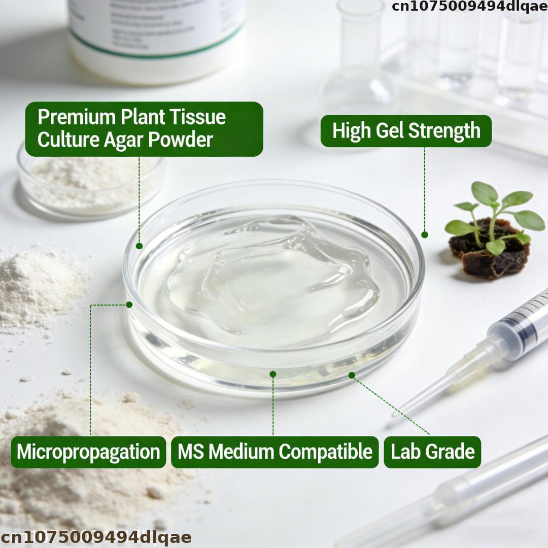 식물 조직 배양용 아가르 분말, 높은 젤 강도, 실험실 - Agar Tissue Culture 리뷰 및 가격