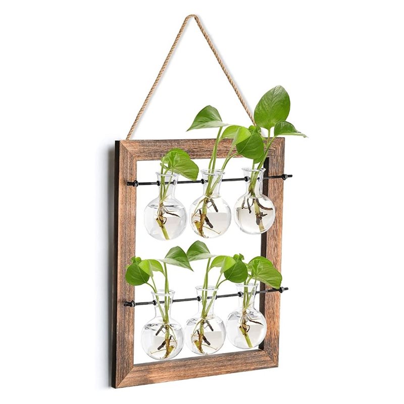 ABLN-벽걸이 화분, 수경재배 식물용, 벽걸이 번식  - Propagation Station Vase 리뷰 및 가격